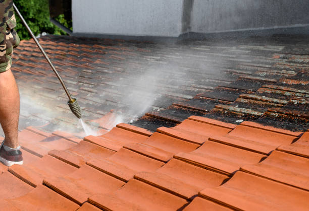 Best Exterior Home Cleaning  in Jeannette, PA